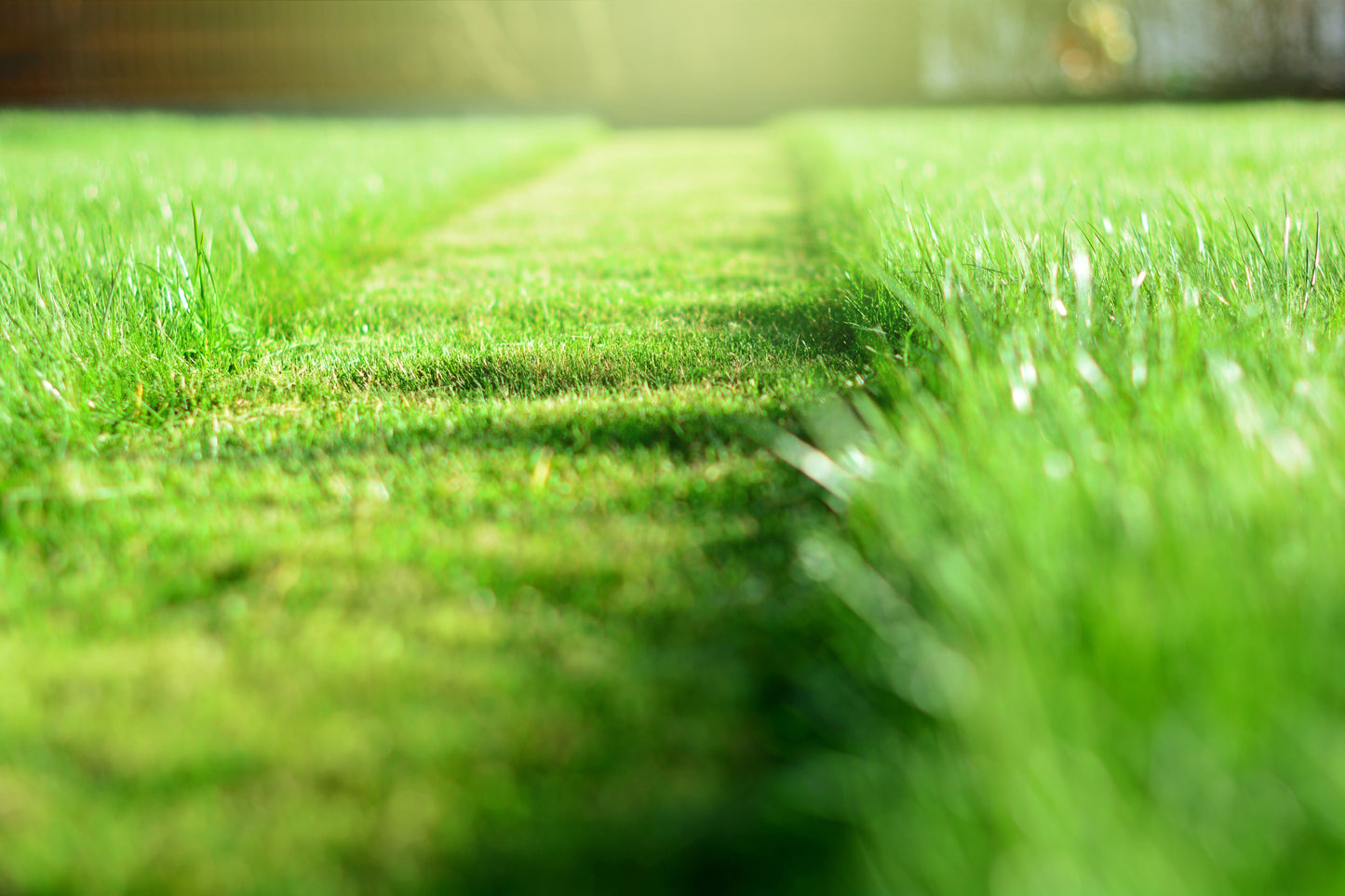 Should You Buy a New Lawn Mower or Repair the Old One? A Homeowner's Guide for 2025